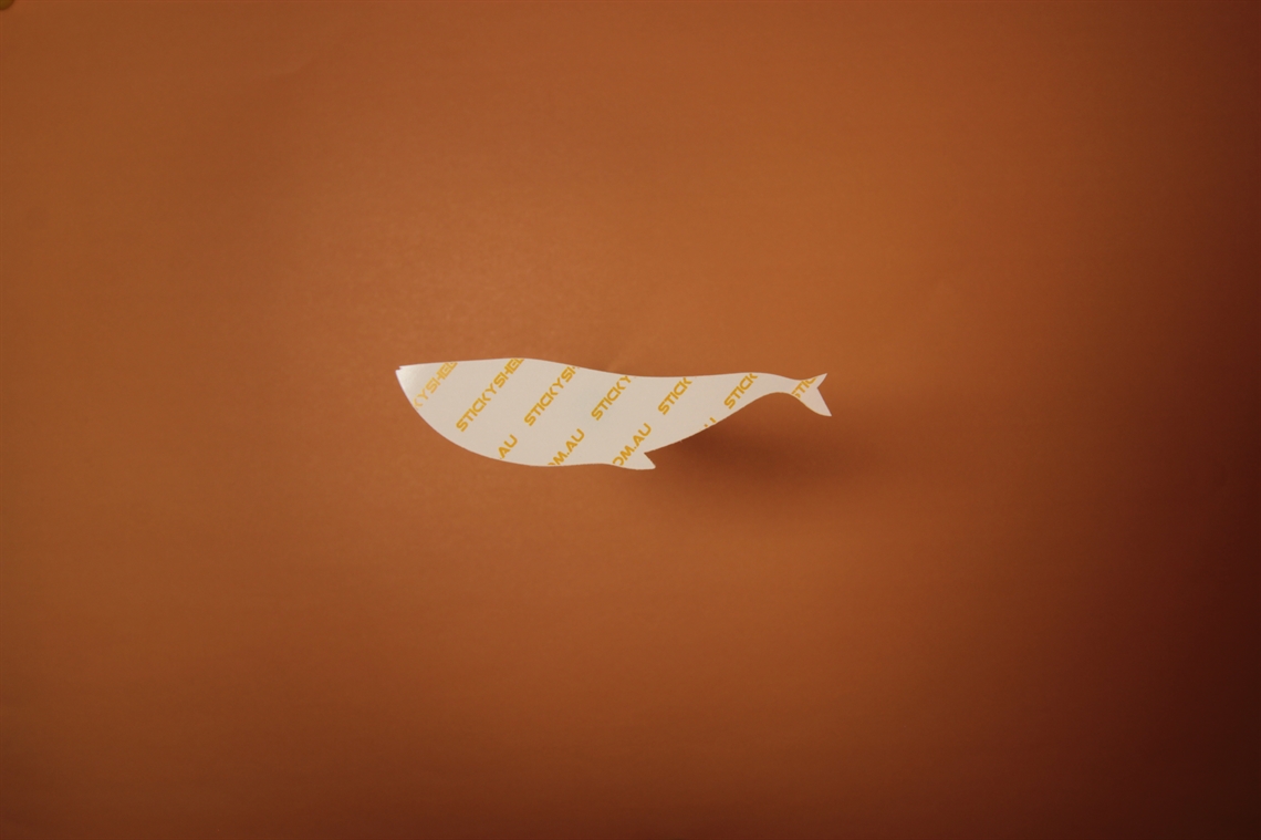 Show details for Whale Shape